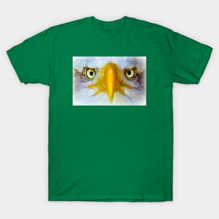 Bald eagle head T-Shirt